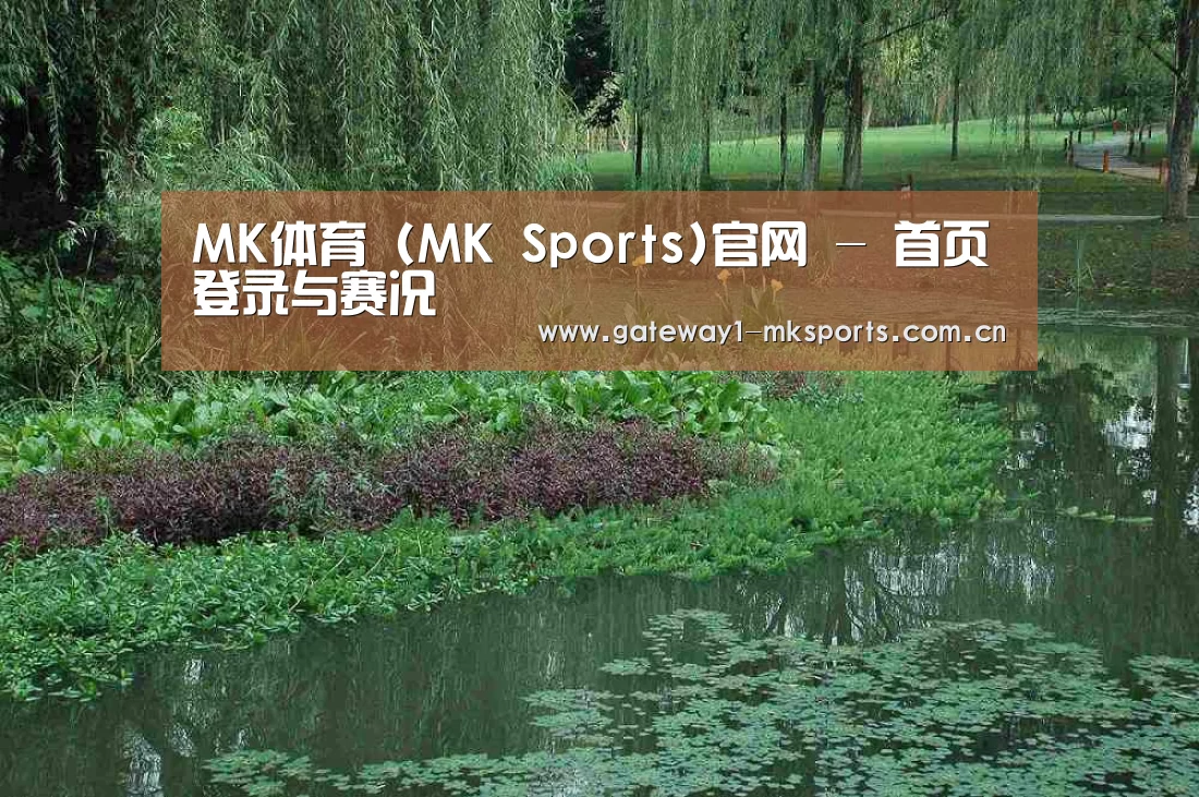 案例展示一(图1)