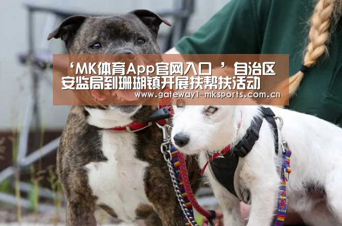  MK体育