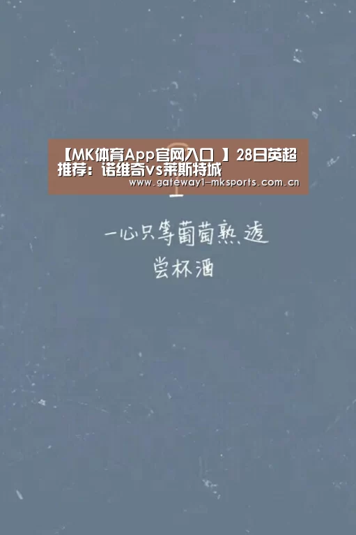 【MK体育App官网入口 】28日英超推荐:诺维奇vs莱斯特城(图2) MK体育