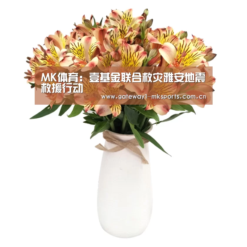  MK体育