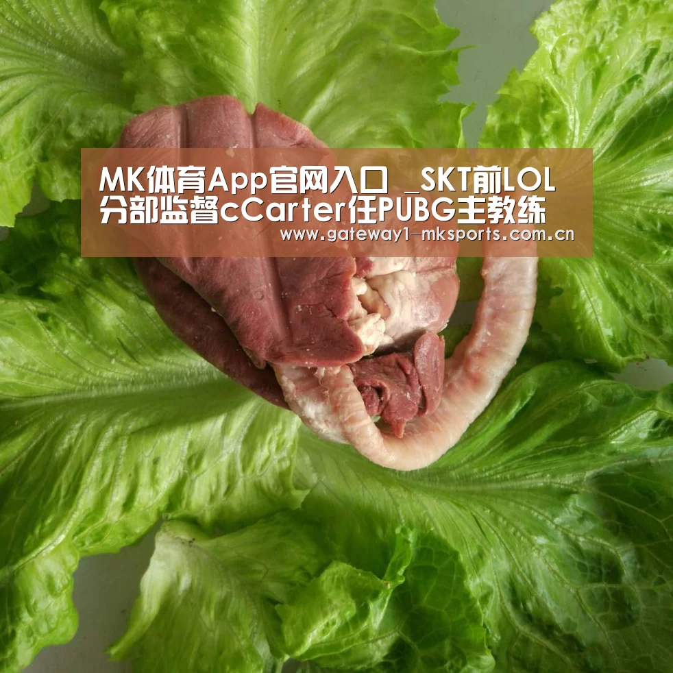 MK体育App官网入口 _SKT前LOL分部监督cCarter任PUBG主教练(图2) MK体育