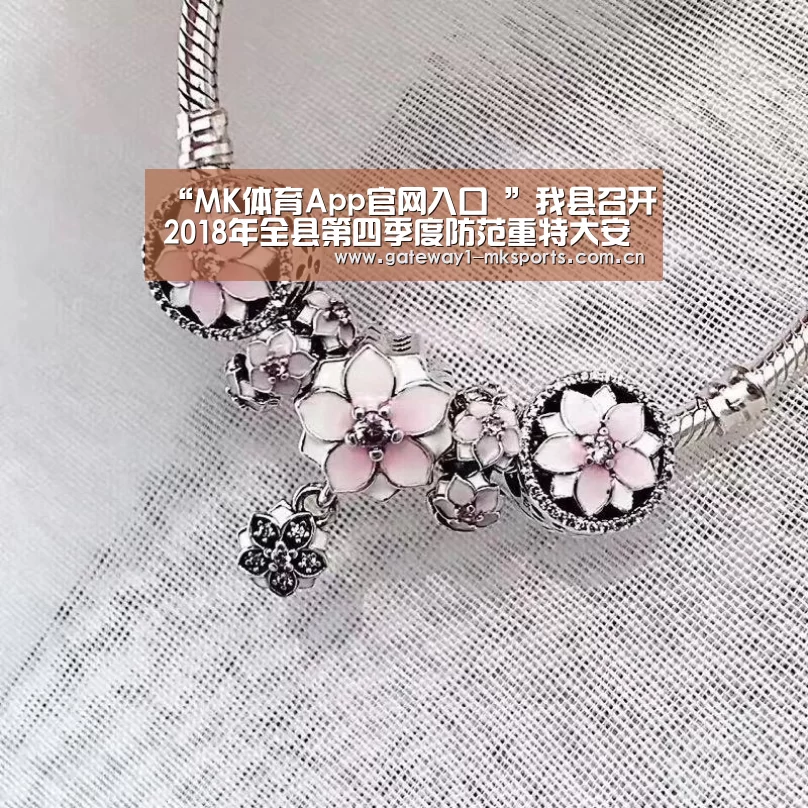 “MK体育App官网入口 ”我县召开2018年全县第四季度防范重特大安全事故工作会(图1) MK体育App官网入口